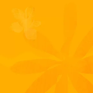 Surviving The Gap one-to-one coaching sessions