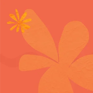 Surviving The Gap skills and training workshops