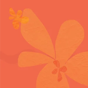Surviving The Gap core workshops